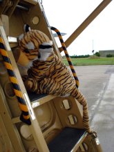 Tigerbaby beim Einstieg in die BR1150 Atlantic