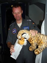 Tigerbaby kämpft mit der Übelkeit wegen zu viel Bordverpflegung