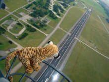 Tigerbaby in der Kuppel der BR1150 Atlantic beim Überflug über „seine“ Staffel