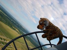 Tigerbaby in der Kuppel der BR1150 Atlantic beim Eindrehen zum Anflug auf den Fliegerhorst Lechfeld