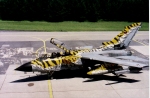 Tigerjet 46+44
