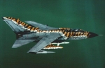 Tigerjet 46+44