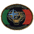 Patch Nato Tiger Meet 1987