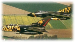 Tiger Formation